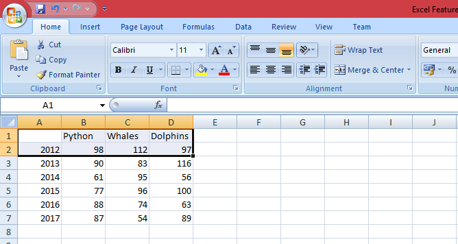 MS Excel Features