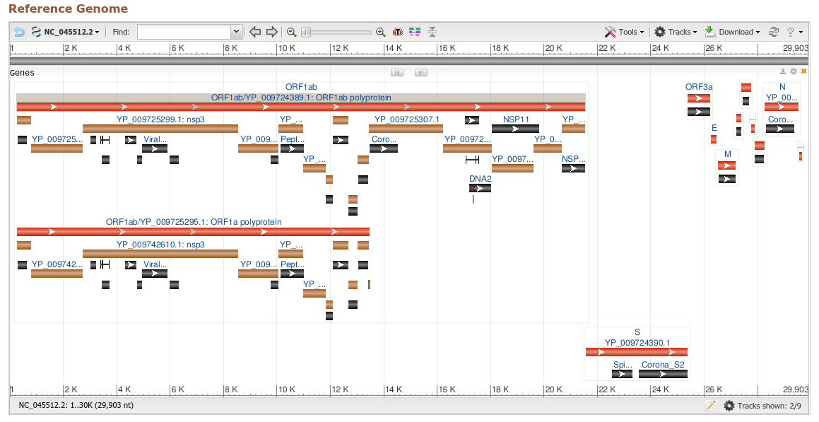 COVID-19 Data Analytics and Collection