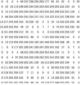 Image Data Extraction with Python - ByteScout