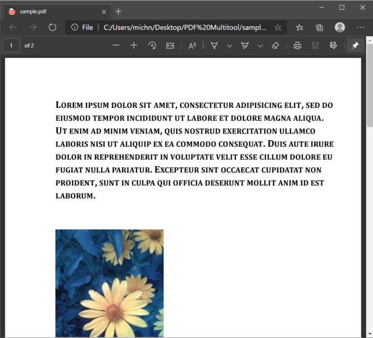 How to Remove Text from PDF using PDF Multitool? ByteScout