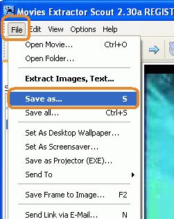 Save as command to save flash video to file