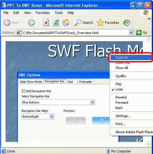 Zoom In/Zoom Out options for flash movie
