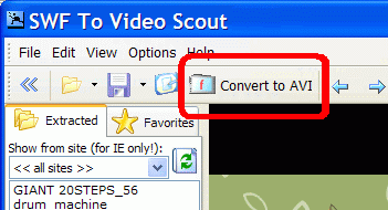 Convert to AVI button on the main toolbar