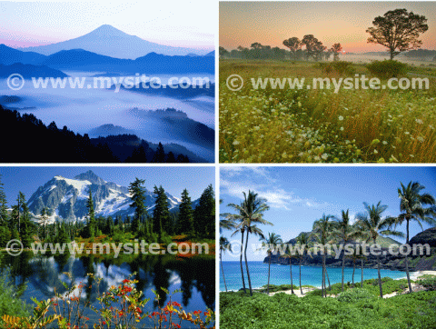 Multiple images batch watermarked using Bytescout Watermarking