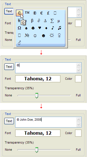 Click Text button to add copyright symbol and then add text with your name or web-site address