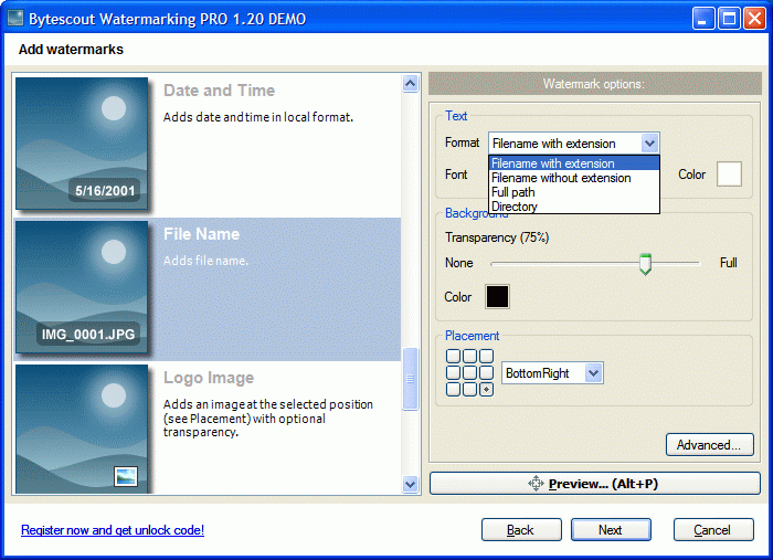 Filename watermark type settings screenshot