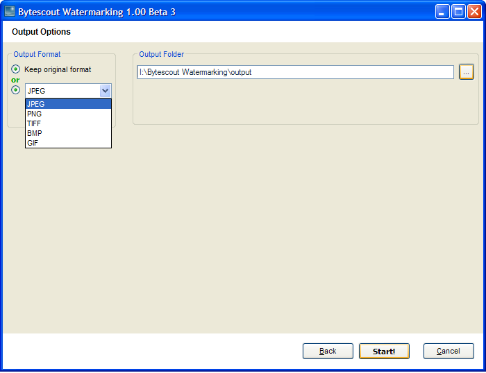 Output options for images with copyright protection added