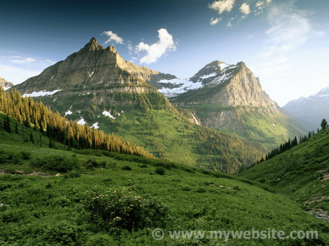 Picture watermarked using Bytescout Watermarking utility