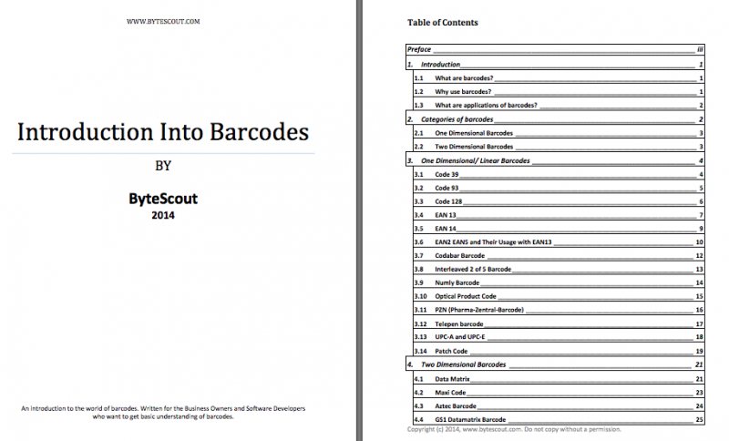 Introduction Into Barcodes by ByteScout